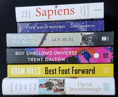 Xmas Books Pile for New Year