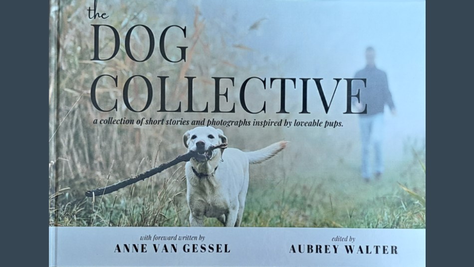 The Dog Collective